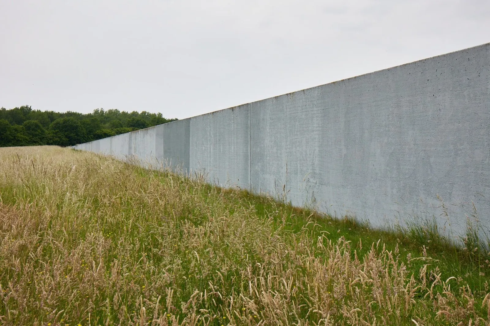 Sea Level · Richard Serra